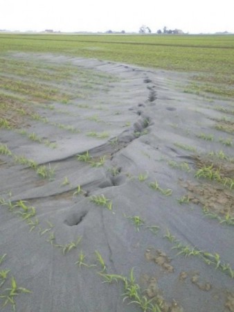 liquefazione del terreno